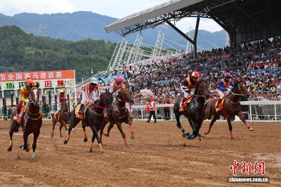 2025“贵州村马”水族端节全国赛马邀请赛现场。中新网记者 刘美伶 摄