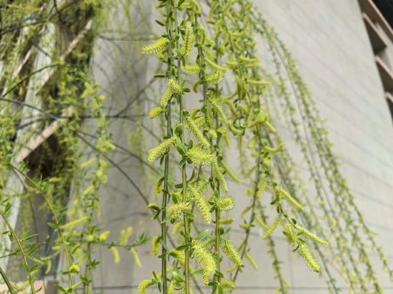 338788bf998776e47b80bdaf52916969