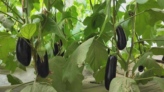 7157eb95f9e06f20c9456a9313edff1e