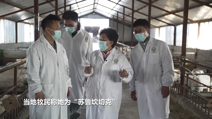 （侨乡故事）“羊教授”刘武军：我的青春留在了羊圈