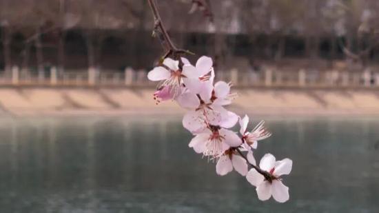 ee3ab8b4268666e989bfa1e500b96ea2