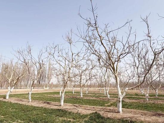 8b03a1af8699d1edd3987c7376562c9f