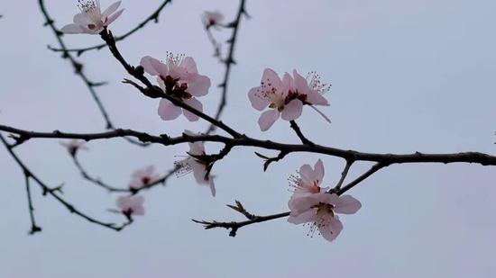 f9ae7a4bbbbbfa7061c03aeb4862b199