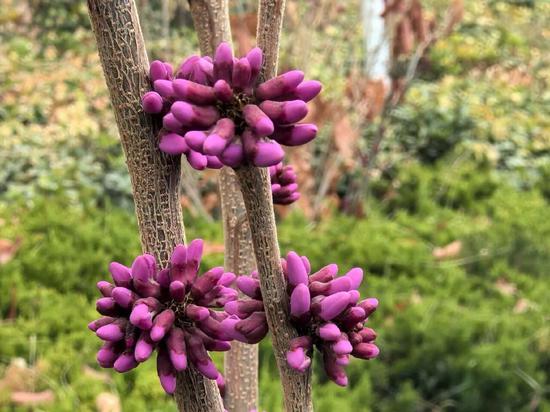 6e6d52c4a68a7b1bb94147a684026213