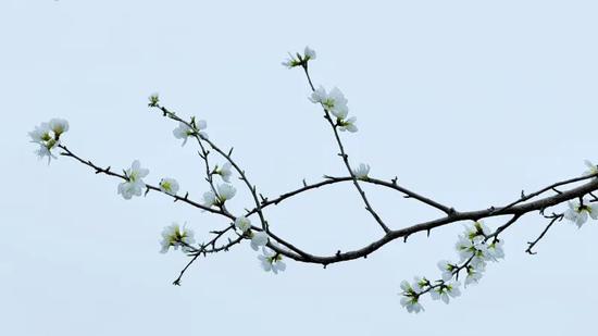 235e6005a9776468a07695c669065205