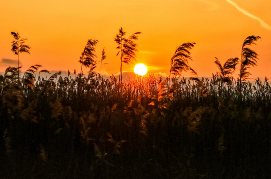 新源县肖尔布拉克镇那拉提国家湿地公园日落美景。