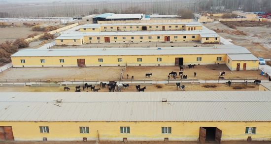 925819d25bbbbf70cc5aeade105b3ff6