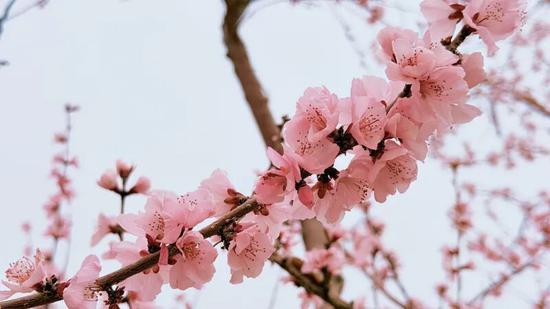 1f184155b9798d3fe83b5556dfd1ec01