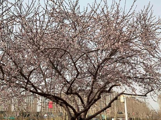 2e27f52e20dd364e697b0364ff1a1fde