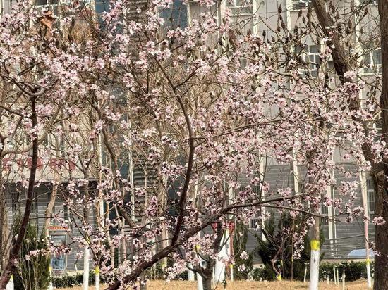 4ffcf0e7093f0491a94f735d192dcf9c