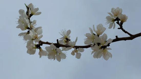 f0ed693569a29a0647052d451eed6f42