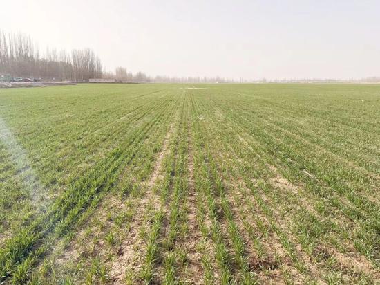 84983ef01cbf2657c5a365319f3fc477