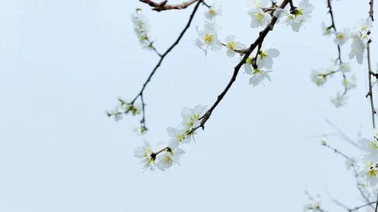 f63c22826c0cf73573d863d69cb0e9da