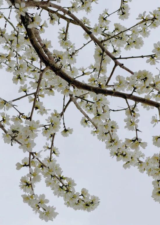 797ff6a2a9e2f6ecae69f5d1a2861d19