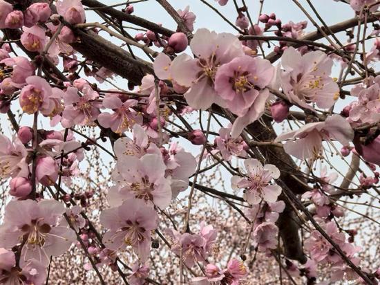 0e50d98e421e188a47e935d95fc50c95