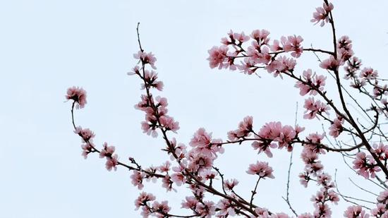 546faf8671aa03ad8f7ccb7f2923d53f