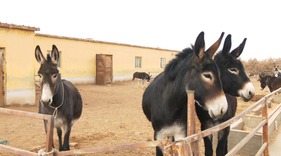 c8b81935c7c9165ecc01ea156d5b488c