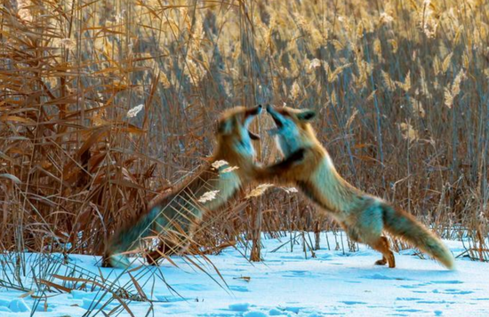 ae9deb4e-d905-43fc-8dee-f0ae9a7f2714