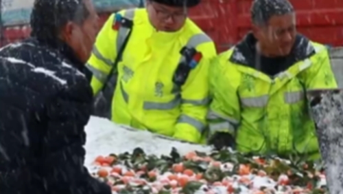新疆：风雪中货车侧翻橘子满地 交警紧急施救挽回近3万元损失