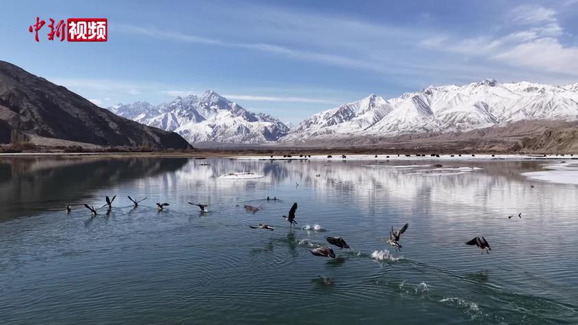 新疆：帕米尔高原冰雪消融万物生长
