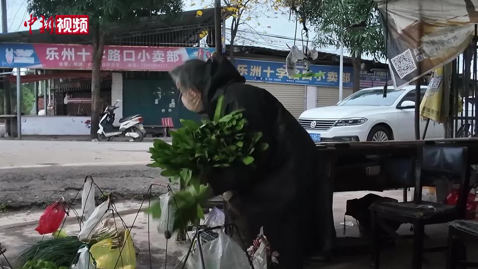 广西南宁“无人菜摊”：付钱全凭自觉 诚信比菜更“鲜”