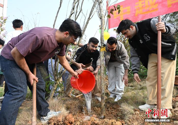 200余名中外青年在百色共植友谊树