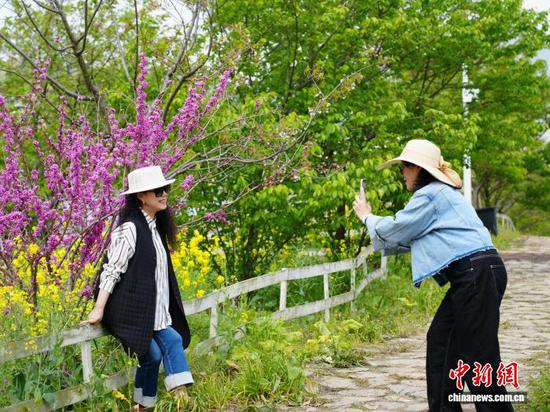 图为3月17日，游客在贵阳市南明区永乐乡的花海里拍照打卡。石小杰 摄