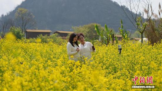 图为3月17日，游客在贵阳市南明区永乐乡的油菜花海里拍照打卡。石小杰 摄