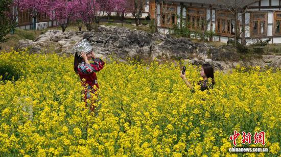 图为3月17日，游客在贵阳市南明区永乐乡的油菜花海里拍照打卡。石小杰 摄