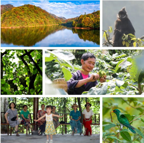 宽阔水保护区人与自然和谐共生场景。