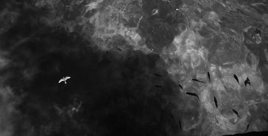 《在万物沉默之间》之一。刘翔摄影作品