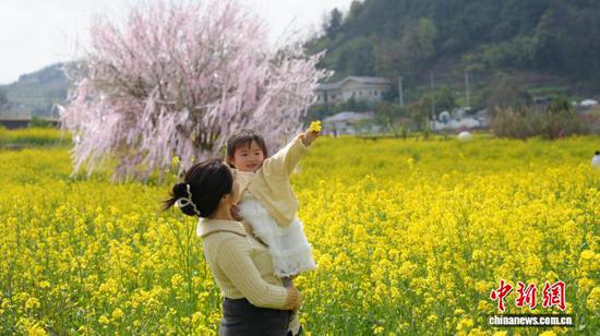 图为3月17日，游客在贵阳市南明区永乐乡的油菜花海里赏花游玩。石小杰 摄