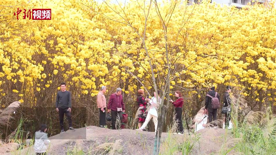 广西柳州春暖花开 多彩景色引市民游客赞叹