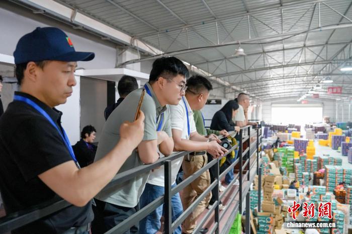 全国水果采购商广西南宁产地溯源 对接出口商机