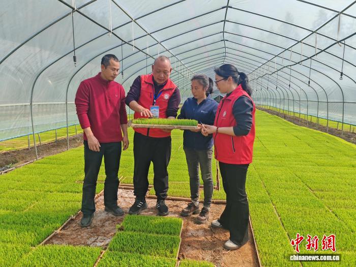 广西科技特派员深入田间“把脉问诊” 护航春耕备耕