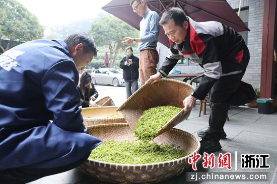 　　图为：“001号探茶官”们在整理新茶，以“服务下沉”助力西湖龙井茶出山上市。中新社发 李姹红 摄