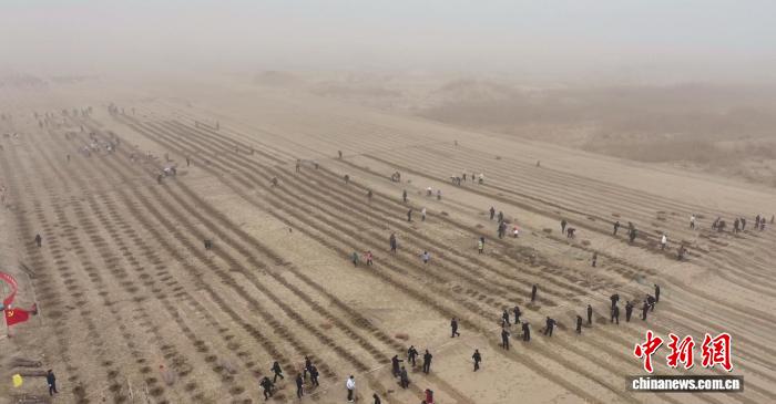 新疆昆玉：千人植绿锁黄沙