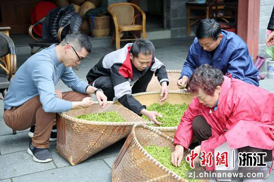 图为：“001号探茶官”们分拣新茶，以“服务下沉”助力西湖龙井茶出山上市。中新社发 李姹红 摄