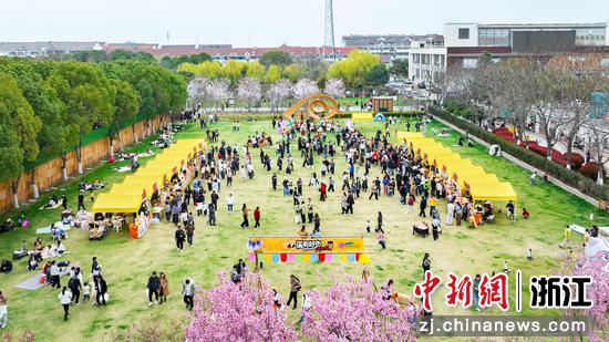 浙江平湖，“2026钟溪樱花文旅季”活动现场。平湖市委宣传部供图