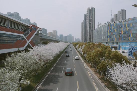 泰山路与轨道交通站点相依，沿途景色宜人 仑传资料图