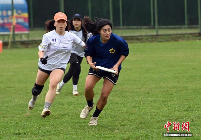 400余名两岸飞盘选手广西梧州同场竞技 共叙同胞情谊