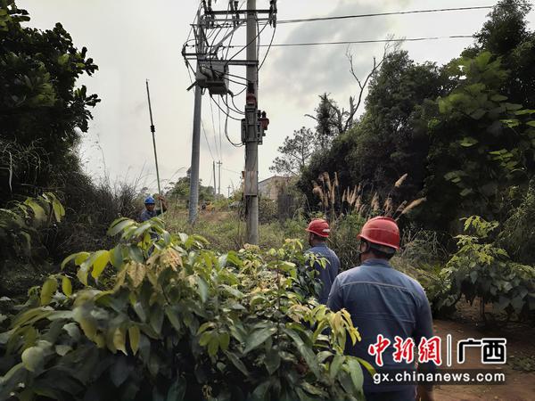博白供电局对10千伏那卜线大廉支01开关开展试送电。黄胤 摄