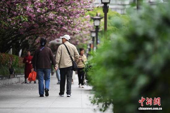 图为贵阳市南明河沿岸，一对老年夫妇正携手同行在盛开的樱花下。赵松 摄