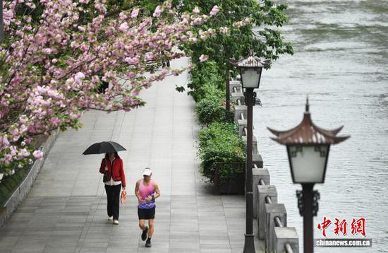 图为贵阳市南明河沿岸，市民正在盛开的樱花下跑步健身。赵松 摄