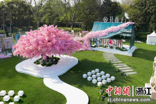 活动现场。主办方供图