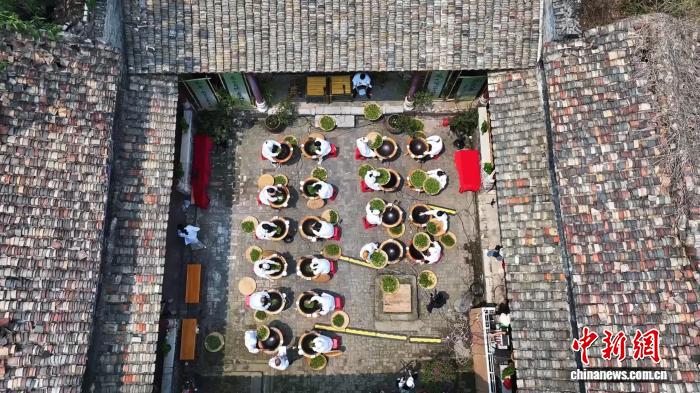 广西兴业举办“春茶大会” 茶工竞技展匠心