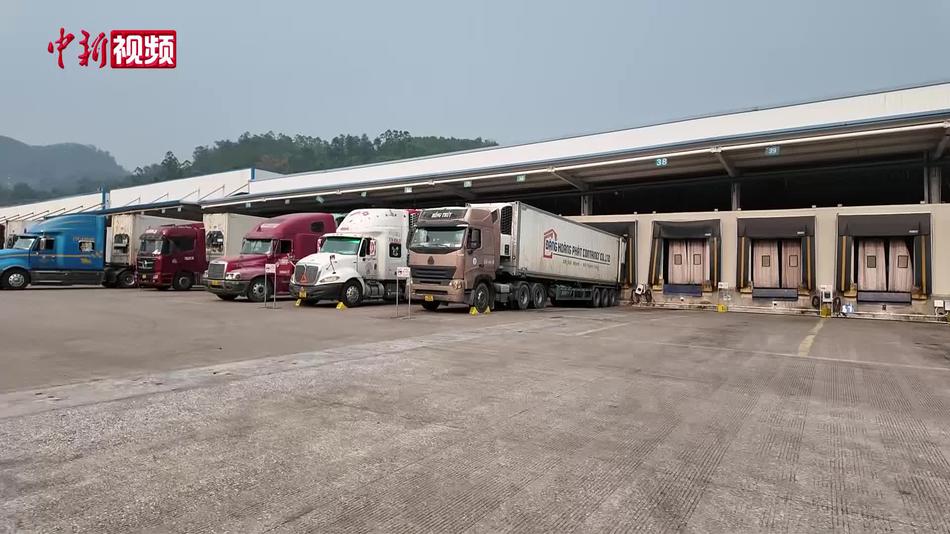 进口榴莲如何安全入境？探访友谊关口岸检验检疫全流程