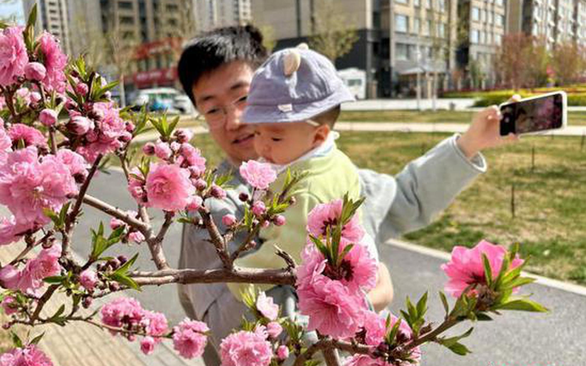 中国城市绿化带“花”样百出 成热门打卡点