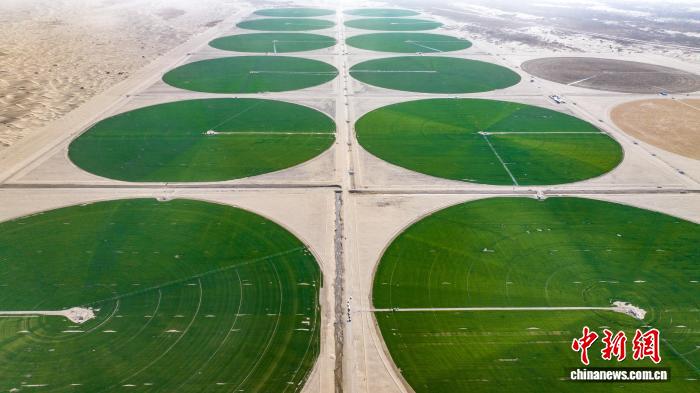 新疆昆玉沙漠现“绿色同心圆”：从荒芜沙海到生态画卷的“一年之约”