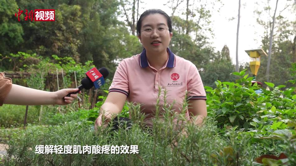 办公室绿植等同免费“咖啡因” 低成本提神不惧春困